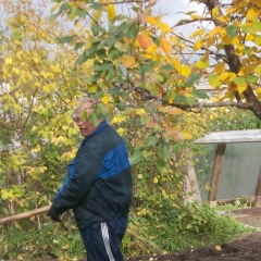 Александр Королёв, 11.11.1962, Каргополь