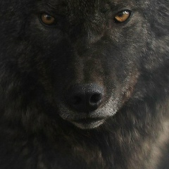 Ксения Иванова, 29.03, Москва