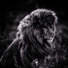 Шахрух Шарипов, 12.07.1989, Алматы