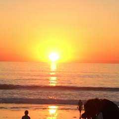 Алексей Медведев, 04.12.1980, San Diego