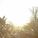 Константин Ромин