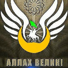 Лулуев Магамед, Шелковская