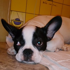 Сергей Москалёв, 30.01, Актау