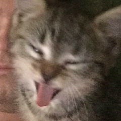 Кирилл Балаев, 20.06, Екатеринбург