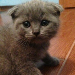 Зарина Шаймерденова, 11.05.1999, Астана