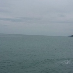 Афанасий Борщев, Волгоград