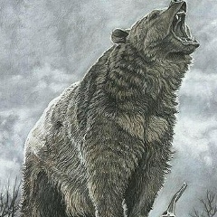 Даурен Султанов, 27.05.1988, Шымкент