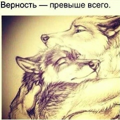 Альтаир Эрматов, Алматы
