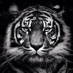 Истам Зиятов, 11.07, Люберцы