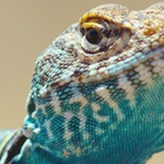 Кирилл Сергеевич, 17.12, Екатеринбург