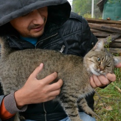 Назар Ворона, Киев