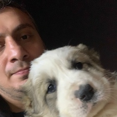 Manvel Isakov, 22.01, Ашхабад
