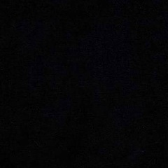 Вася Хрипун, Санкт-Петербург