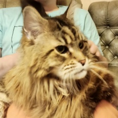 Васильев Никита, 24.06, Санкт-Петербург