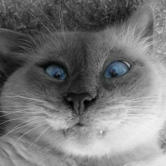 Александр Козлов, 07.09.1979