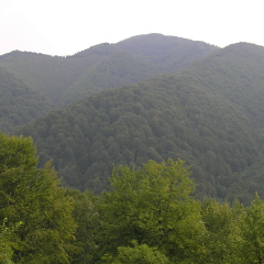 Владимир Shelestov, 27.01