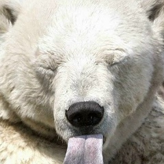 Саня Колоша, 19.05.1987, Бровары