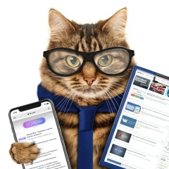 Дмитрий Котов, 20.02.1993