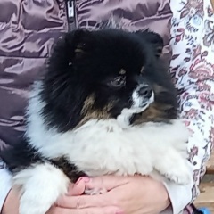 Эльвира Ганеева, 03.01.1963, Омск