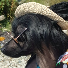 Сергей Репин, 12.01.1970, Санкт-Петербург