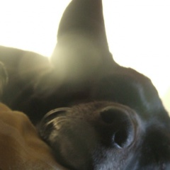 Марина Грамова, 02.10, Омск