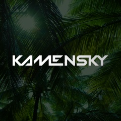 Антон Каменский, Москва