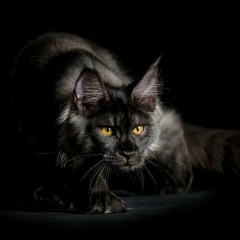 Константин Гулимов, 05.06, Бодайбо