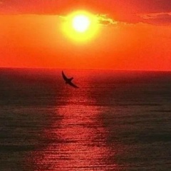 Андрей Новиков, Наро-Фоминск