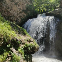 Ольга О, 01.01, Москва