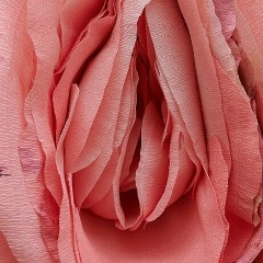 Дарья Ильина, 24.03.1992