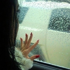 Кавказская Красавица, 21.07.1992