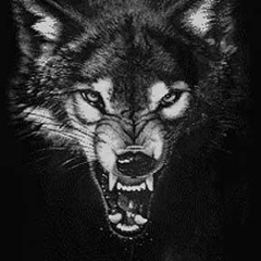 Саша Ревенко, 24.05.1989, Москва