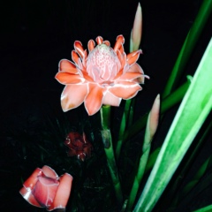 Лилия Адилханова, 18.11.1980, Альметьевск