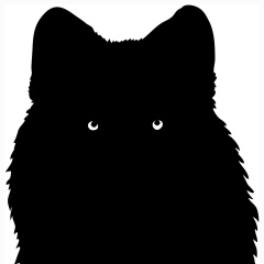 Андрій Довгошия, 12.06