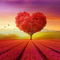 Елена Паша, 07.12.1980, Санкт-Петербург