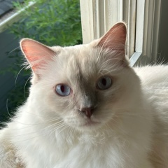 Anna Khabibullina, 22.03