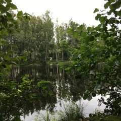 Ирина Блинова