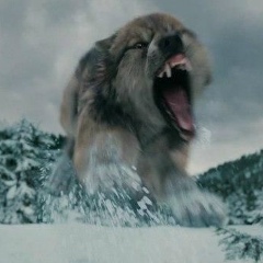 Серый Афанасьев, 02.07.1987