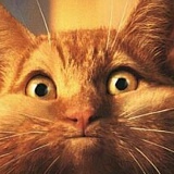 Лена Маскалец