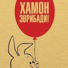 Александр Ракитский, Воронеж