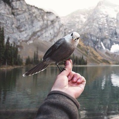 Айсултан Ерланов, 28.08, Алматы