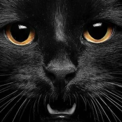 Ильдар Гайнутдинов, 02.09.1989, Москва