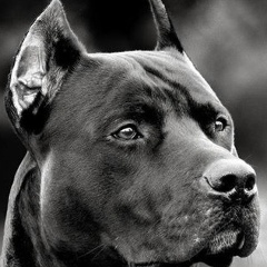 Денис Терешин, 14.04, Магадан