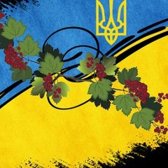 Ольця Сладкевич, 14.03, Коростышев
