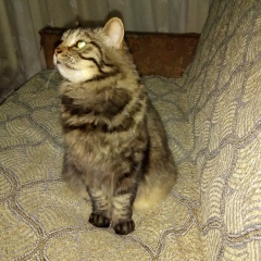 Сергей Сергеев, 06.07, Кишинев