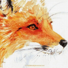 Игорь Щербина, 14.08.1991, Николаев