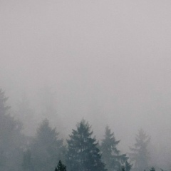 Дарья Кравченко, 15.12.2004, Первомайский