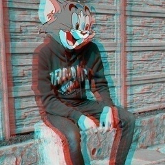 Влад Док, Шымкент