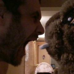 Алексий Абрамович, Новосибирск