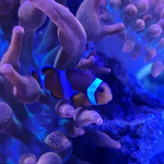 Сережа Тишененко, 28.02.1993